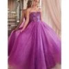 Cinderella Divine Amethyst Glitter Bodice & Tulle Prom Ball Gown