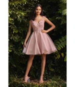 Cinderella Divine Blush Tulle & Corset Applique Mini Prom Dress