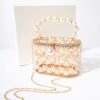 Faux Pearl & Gold Cage Handbag