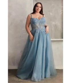 Cinderella Divine Plus Size Blue Foliage Applique Corset Tulle Gown