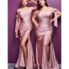 Cinderella Divine Plus Size Mauve Off The Shoulder Tie Bridesmaid Gown