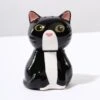 Split Kitty Salt & Pepper Set