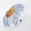 White Daisy Everyday Umbrella