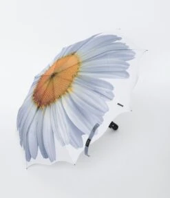 White Daisy Everyday Umbrella